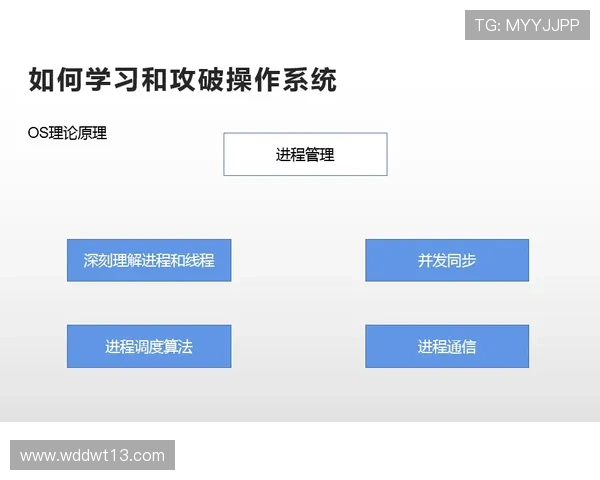 深入了解sbf888唯一登录网站的安全性与优势